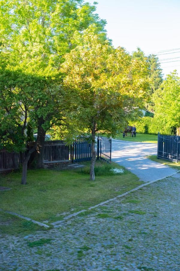 Ferienhaus Brockenblick Villa Hüttenrode Eksteriør billede